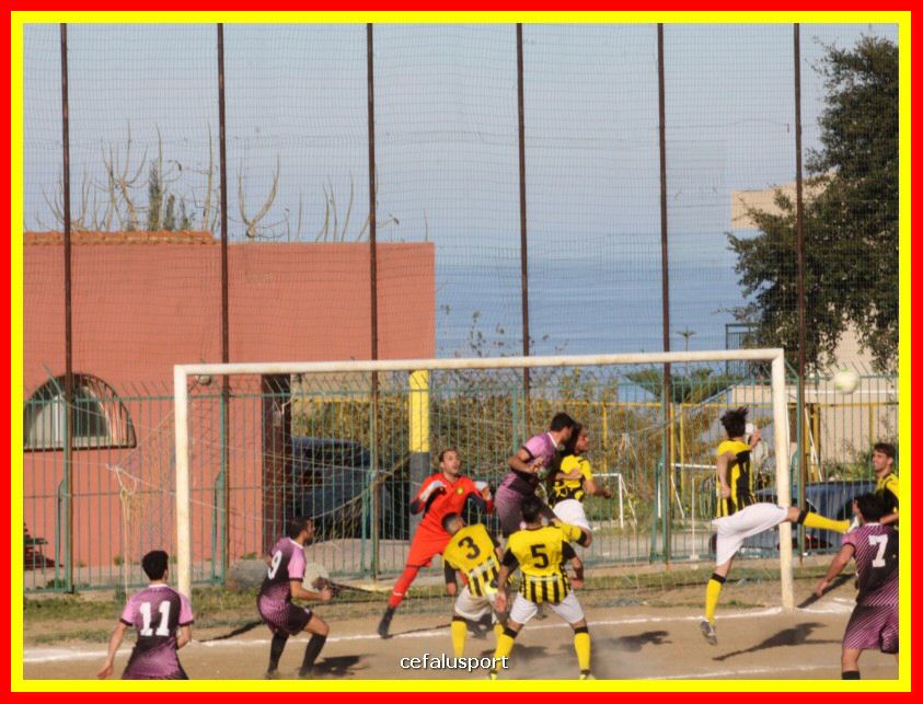 190310 Cephal_Torrenov 148_tn.jpg